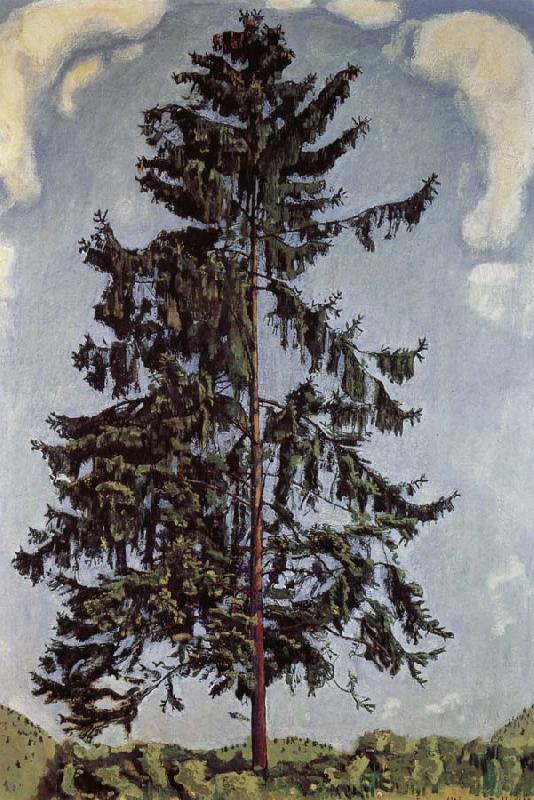 Ferdinand Hodler The fir tree oil painting image